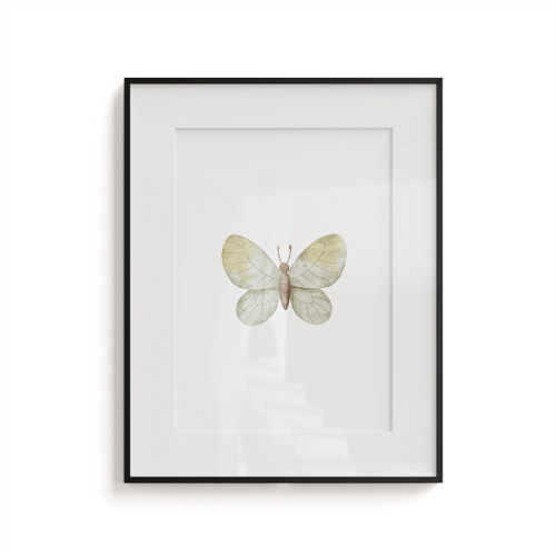 Plakat dla dzieci FAIRY TALES wzór D146 | kolorowy motyl