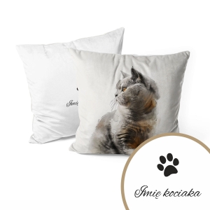 Poduszka dla miłośników zwierząt wzór ZW37 | kot brytyjski