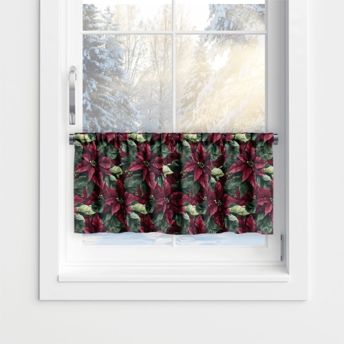 Zazdrostka WINTER wzór BN80 | Gwiazda betlejemska